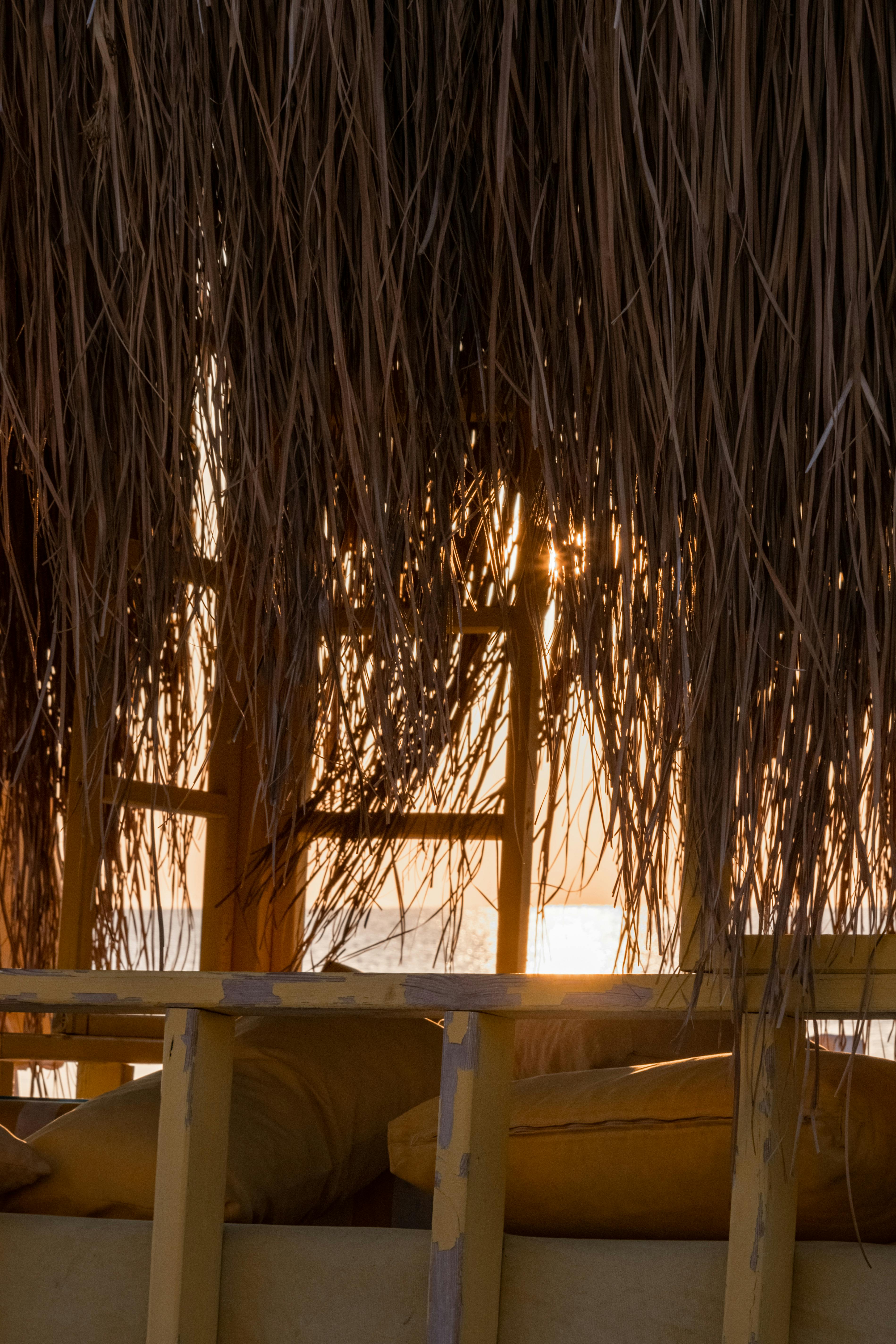 pexels-helen-alp-46790226-14479890